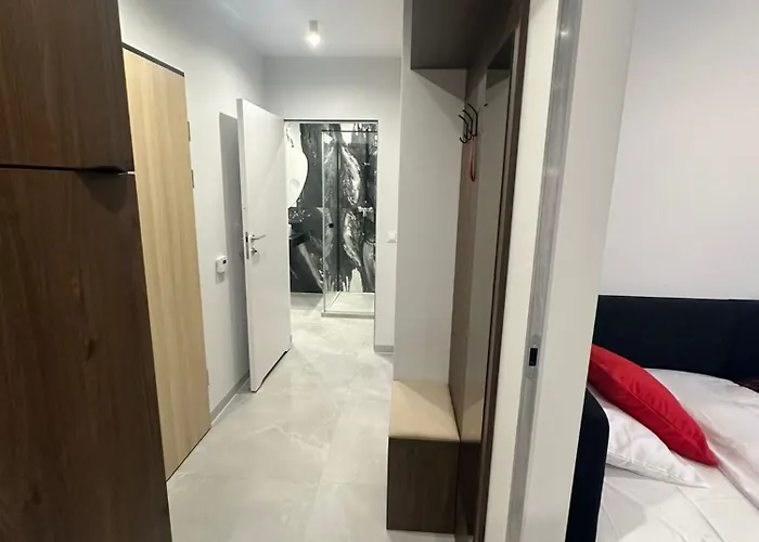 Czarne Owce Apartment *