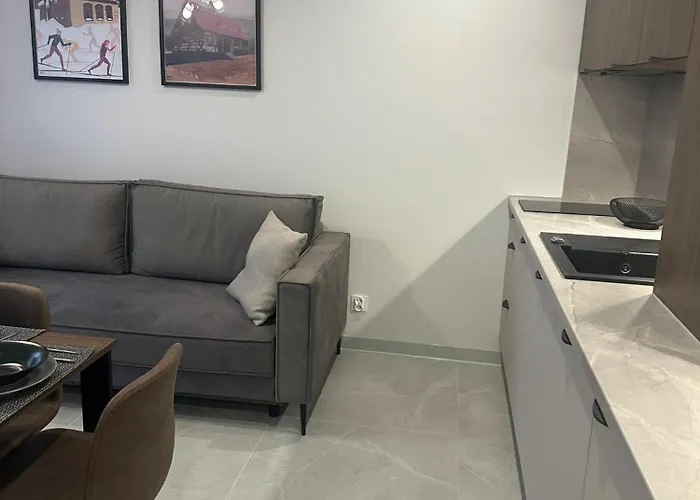 Apartment Czarne Owce