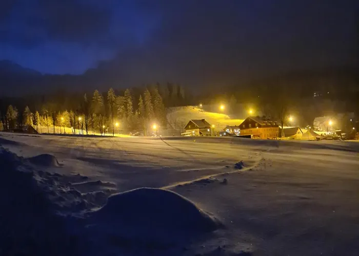 Czarne Owce Apartment *